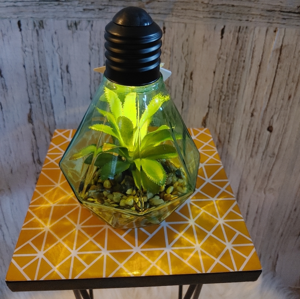 Homedeco Light Up Terrarium